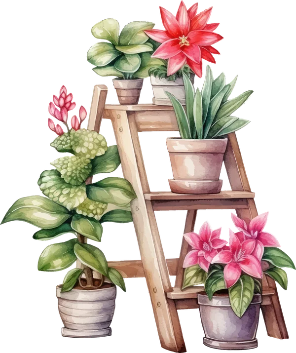 Illustrated wooden ladder shelf with potted flowering plants